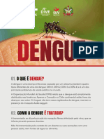 Dengue Manual 21 07 2022