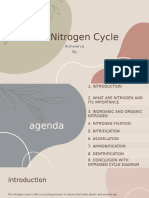 Aishu Nitrogen Cycle