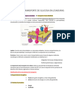 Guia Completa-1