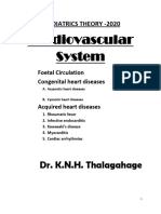 Cardiovascular System Notes