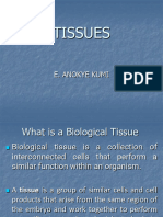 Anatomy and Physiology of Tissues 2024