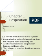 Chapter 1 Human Respiratory System - 1