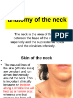 Lec 2 Neck