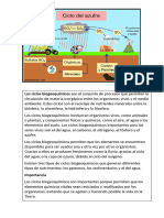 Ciclos Biogeoquimicos