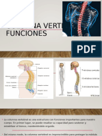 Columna Vertebral y Funciones - 043606