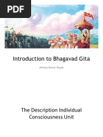 IBG - Descrption of The Individual Conscious Unit