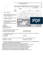 Ficha Formativa 21'22