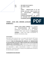 Apelo Resolucion #01 de Fecha 161107 - Apelacion de Accion de Amparo