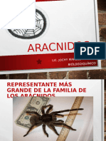 ARACNIDOS