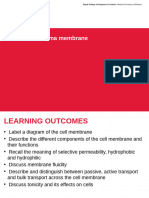 MCP 02.10 Plasma Membrane 3