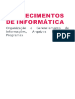 Organização e Gerenciamento de Pastas e Programas