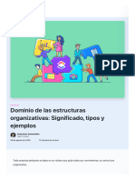 Dominio de Las Estructuras Organizativas - Significado, Tipos y Ejemplos