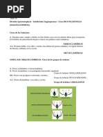 Tema 16 - Arquiclamídeas 1