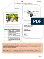 Synthese de Cours