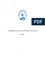 Proyecto de Investigación para Obtener El Título de Segunda Especialidad Profesional de Médico Especialista en