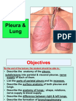 Anatomy of Lung & Pleura