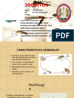 Mosquitos Exposicion Paracitologia