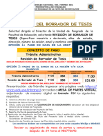 Paso 2 Revision Borrador Tesis