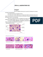 UT1. Introducción Al Laboratorio de Hematología