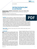 Machine Learning and Deep Learning For Plant Disease Classification and Detection