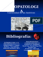 Psicopatologia Introduccion