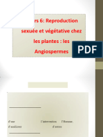 COURS 6 Les Angiospermes