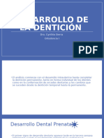 TEMA 3. Desarrollo de La Dentición