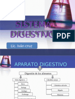 Aparato Digestivo