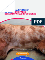 Guía de Clasificación de Las Principales Dermatopatías Infecciosas - Compressed