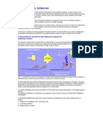 Fisiologia Del Ejercicio Atp