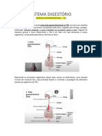 Sistema Digestório Formatado