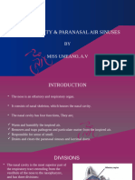 Nasal and Paranasal Air Sinuses