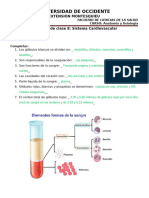 Actividad - 8 Sistema Cardiovascular Yess