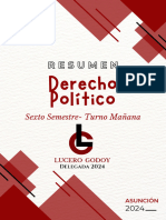 Resumen Derecho Político Lucero G