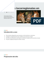 Bloqueos Locoregionales en Caballos