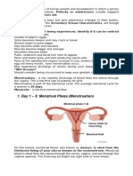 Mentrual Cycle