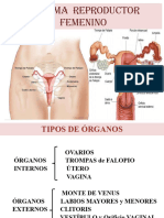 7 - Femenino y Mama