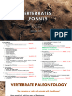 11 - Vertebrates Fossils