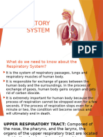 Respiratory System