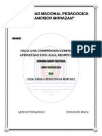 Ensayo de Neurociencia Modulo Pedagogico