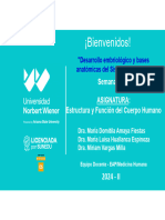 CLASE 11 Desarrollo Embriológico y Bases Anatómicas Del Aparato Digestivo. Abdomen 1. 2024-II. (Final) .