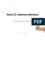 Tema 12