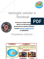 Aula 2-Biologia Celular