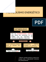 METABOLISMO