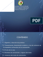 Unidad 4 Metabolismo de Proteinas y Aminoã Cidos Clase 1