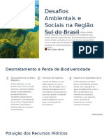 Desafios Ambientais e Sociais Na Regiao Sul Do Brasil