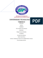 Universidad Tecnologica de Tabasco