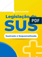 Resumos Ilustrados de Legislacao Do Sus