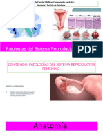 Patología Del Sist Reproductor Femenino