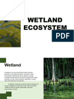 Wetlands